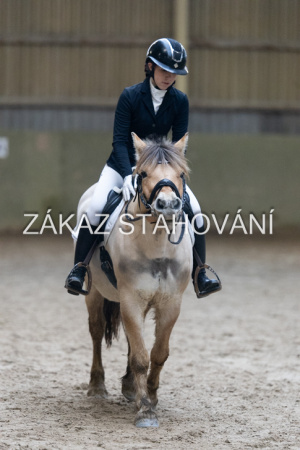 ZH1 hobby (1424).JPG