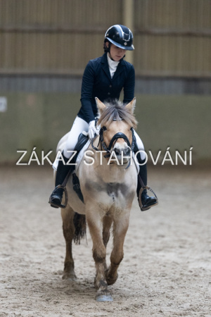 ZH1 hobby (1425).JPG