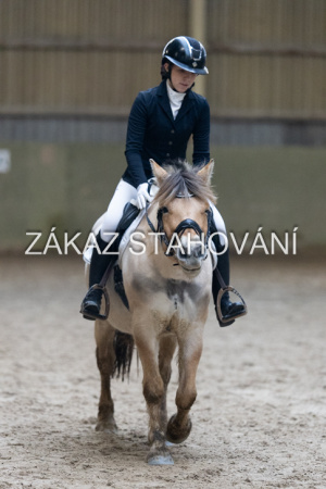 ZH1 hobby (1426).JPG