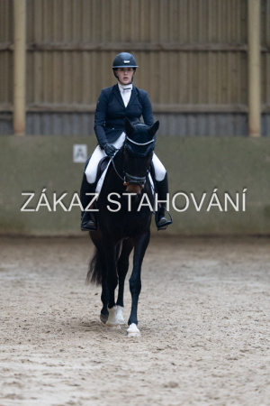 ZH1 hobby (1427).JPG