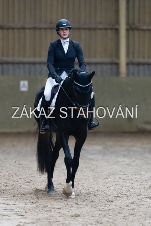 ZH1 hobby (1428).JPG