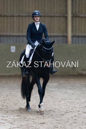 ZH1 hobby (1429).JPG