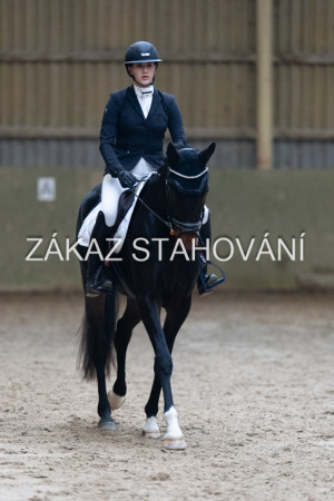 ZH1 hobby (1431).JPG