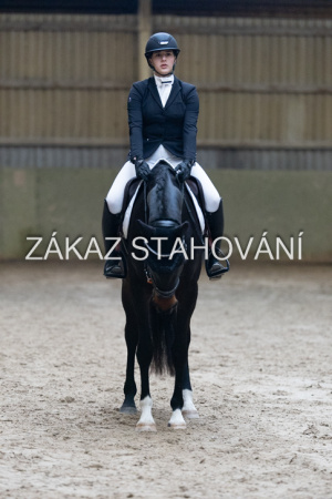 ZH1 hobby (1432).JPG