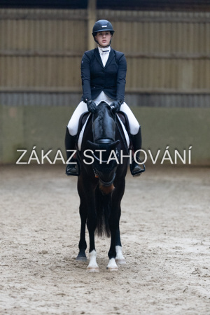 ZH1 hobby (1433).JPG