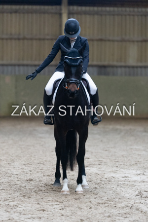 ZH1 hobby (1435).JPG