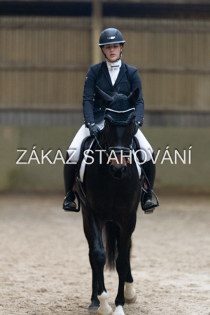 ZH1 hobby (1436).JPG