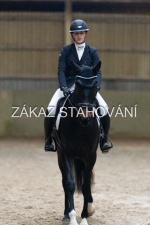 ZH1 hobby (1437).JPG