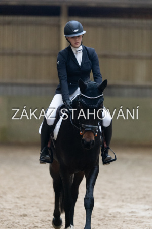 ZH1 hobby (1438).JPG