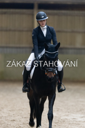 ZH1 hobby (1439).JPG