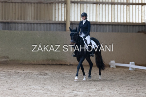 ZH1 hobby (1440).JPG