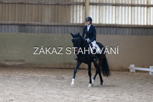 ZH1 hobby (1441).JPG