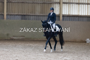 ZH1 hobby (1442).JPG