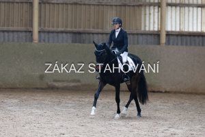 ZH1 hobby (1443).JPG