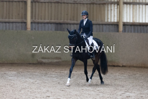 ZH1 hobby (1444).JPG