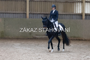 ZH1 hobby (1445).JPG