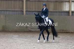 ZH1 hobby (1446).JPG