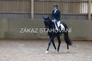 ZH1 hobby (1447).JPG