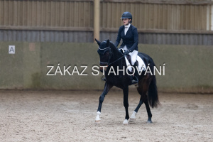 ZH1 hobby (1448).JPG