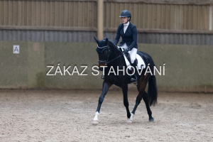 ZH1 hobby (1449).JPG