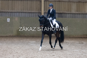 ZH1 hobby (1450).JPG