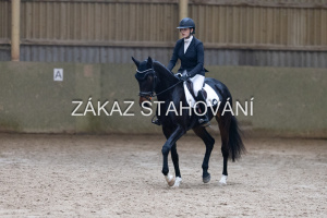 ZH1 hobby (1451).JPG