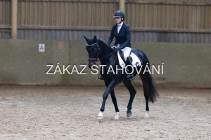 ZH1 hobby (1452).JPG