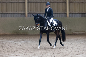 ZH1 hobby (1454).JPG