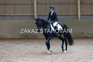 ZH1 hobby (1455).JPG