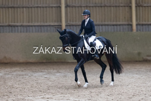 ZH1 hobby (1456).JPG