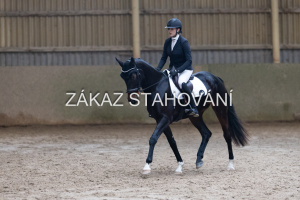 ZH1 hobby (1457).JPG