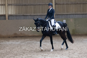 ZH1 hobby (1458).JPG