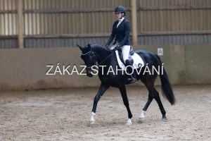 ZH1 hobby (1459).JPG