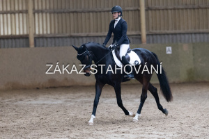 ZH1 hobby (1461).JPG