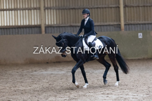 ZH1 hobby (1462).JPG