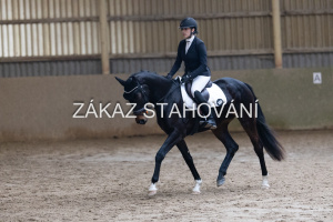 ZH1 hobby (1463).JPG