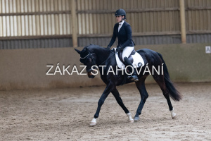 ZH1 hobby (1464).JPG