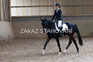 ZH1 hobby (1465).JPG