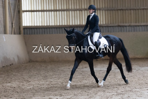 ZH1 hobby (1466).JPG