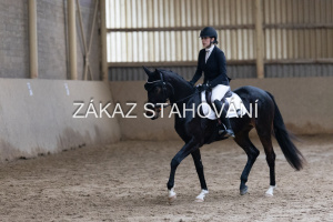 ZH1 hobby (1467).JPG