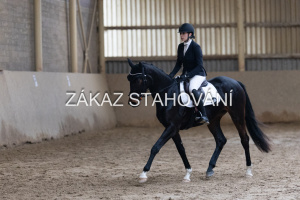 ZH1 hobby (1468).JPG