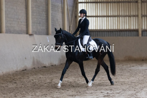 ZH1 hobby (1469).JPG