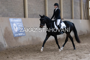 ZH1 hobby (1470).JPG