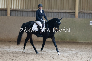 ZH1 hobby (1471).JPG