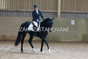 ZH1 hobby (1472).JPG