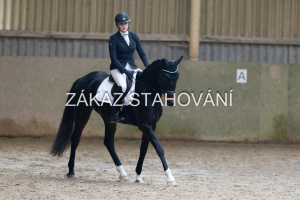 ZH1 hobby (1473).JPG