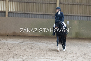 ZH1 hobby (1474).JPG