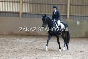 ZH1 hobby (1475).JPG