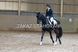 ZH1 hobby (1476).JPG