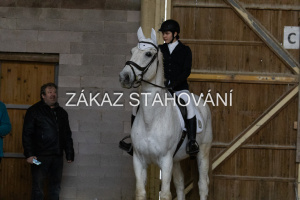 ZH1 hobby (1477).JPG